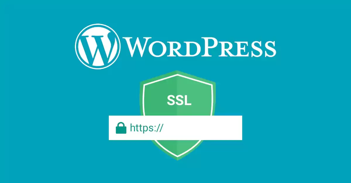 Wordpress ssl nasıl kurulur